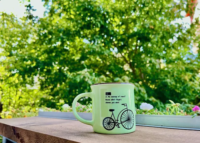 Lifestyle Gallery * 스코페